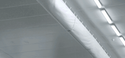 每日萊水餃生產(chǎn)